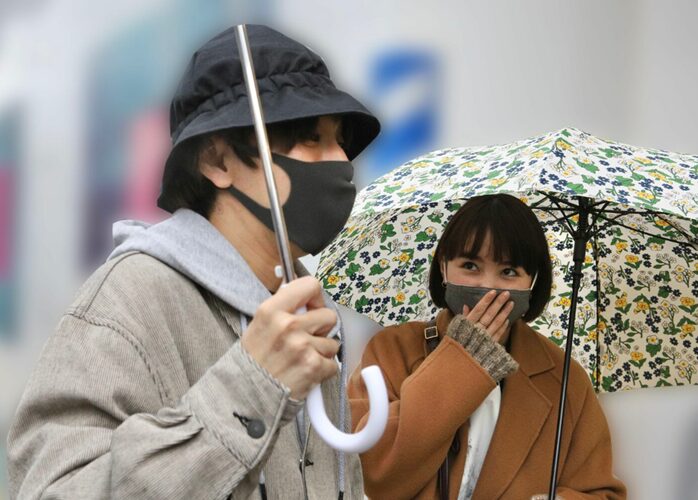 葵わかな　椎木知仁　熱愛報道　記者直撃取材