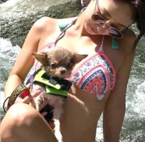 藤森慎吾さんとみづきさんの匂わせ④犬の画像が一致