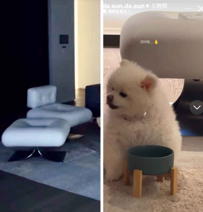 ソン・ダウンさんとジミンさんの匂わせ⑨自宅のインテリアが似ている