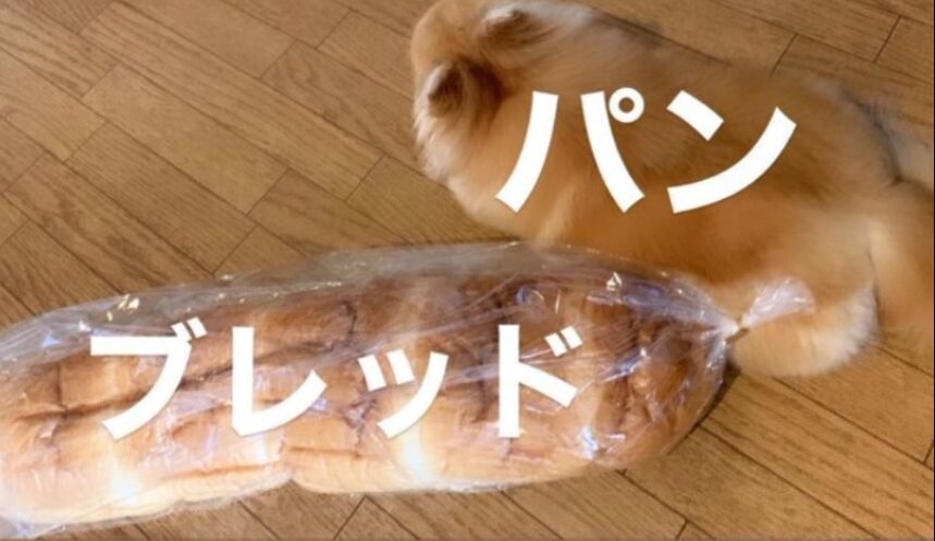 堂本光一さんの投稿画像