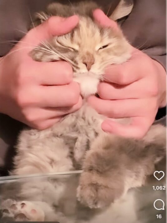 高田里穂さんの投稿画像