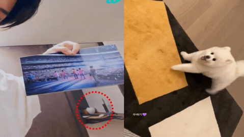 ソン・ダウンさんとジミンさんの匂わせ⑨自宅のインテリアが似ている