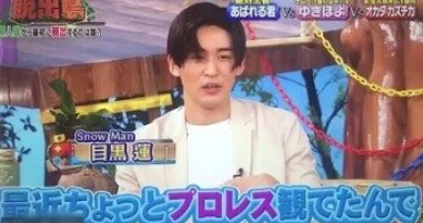 岡崎紗絵さんと目黒蓮さんの匂わせ⑩プロレス好き