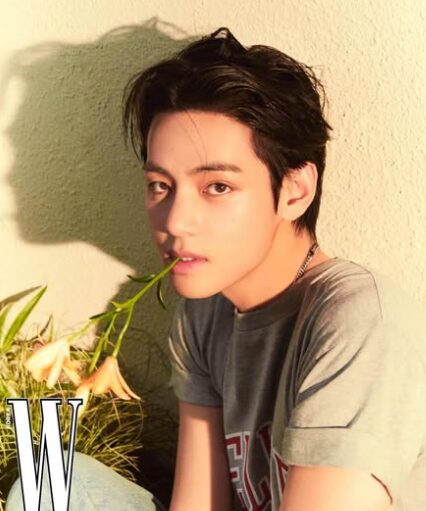 BTS Vテヒョンの画像