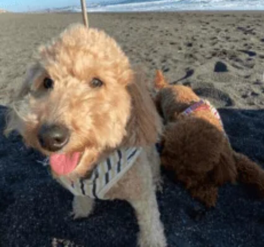 伊藤愛莉さんの過去の投稿画像