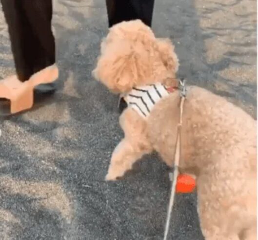 ソウタさんの母親の過去の投稿画像