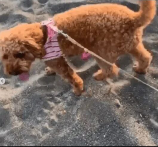 ソウタさんの母親の過去の投稿画像