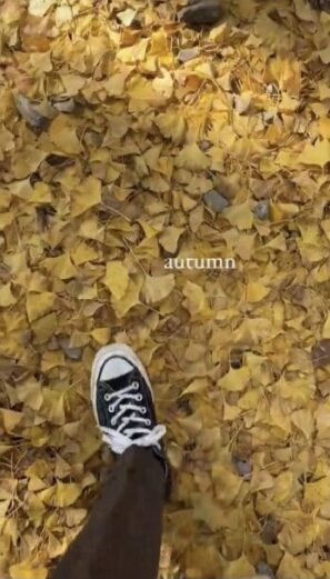 河野純喜さんと七原月乃さんの匂わせ7選!画像や動画で徹底解説