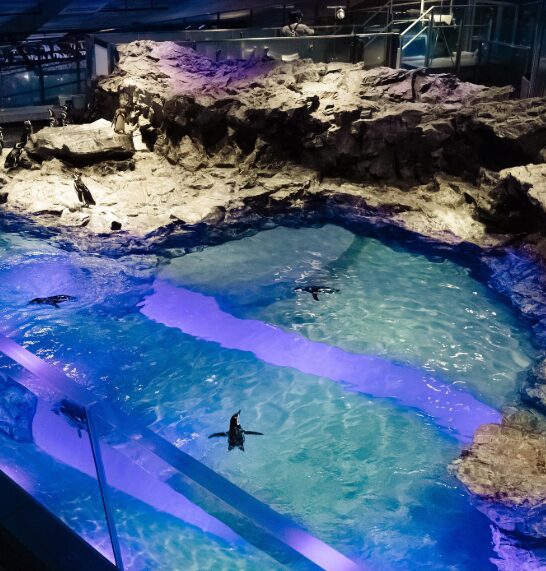 塩﨑太智さんと小山璃奈さんの匂わせ7選!画像や動画で徹底解説