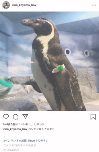 塩﨑太智さんと小山璃奈さんの匂わせ7選!画像や動画で徹底解説