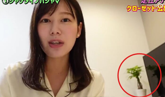 足立夏保のルーム画像